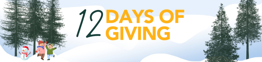 12 Days of Giving